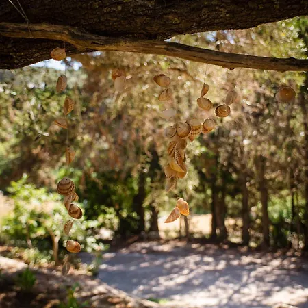 Πανσιόν Anneta